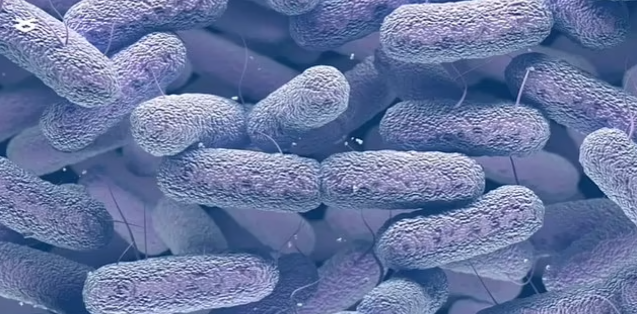 На Міжнародній космічній станції виявили бактерії-мутанти, яких не існує на Землі: фото